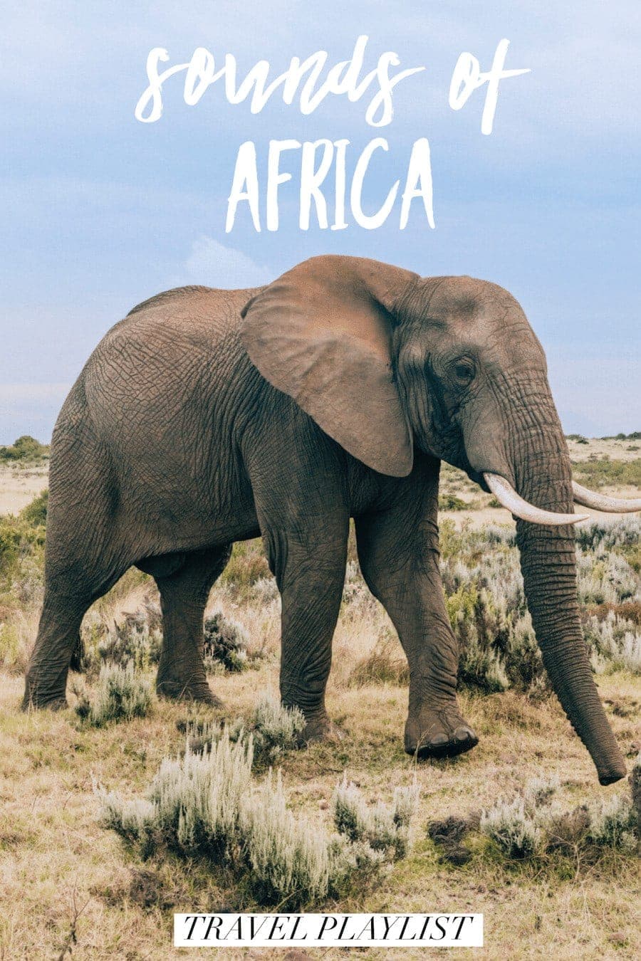 African Rhythms playlist cover
